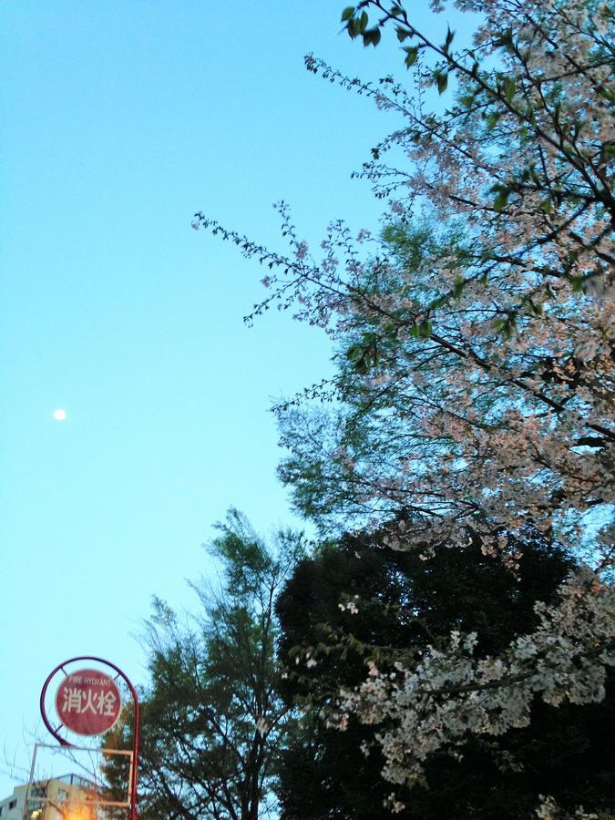 Miko'S Apartment, Iconic Shinjuku, Tokyo, 10Th Fl, Skyscraper View, Korean Town, 3Min To Higashi-Shinjuku Sta ภายนอก รูปภาพ